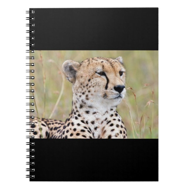 Cheetah Notebook (Front)