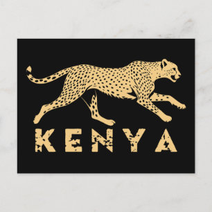 Cheetah Of Kenya Postcard