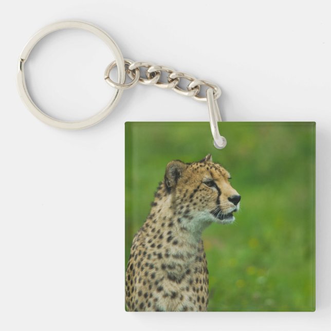 Cheetah On A Lookout Keychain (Front)