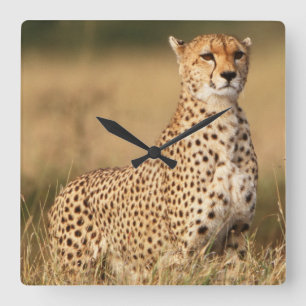 Cheetah on small mound for better visibility square wall clock