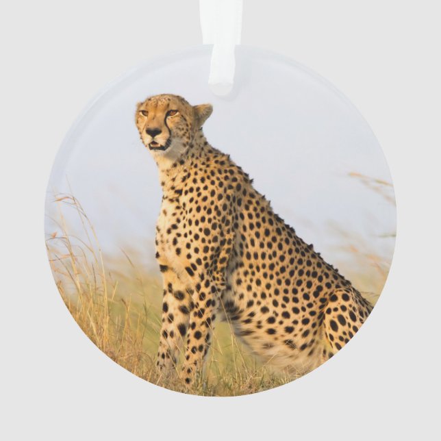 Cheetah Ornament (Back)
