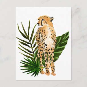 Cheetah Outlook Postcard