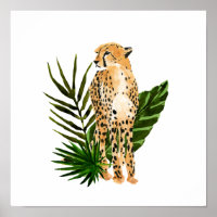 Cheetah Outlook
