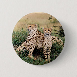 Cheetah Pair 2 Inch Round Button