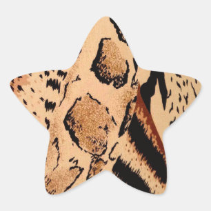 Cheetah Pattern Star Sticker