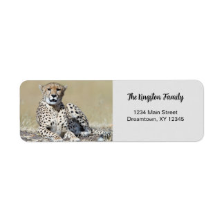 Cheetah photo personnalisée Adresse de retour