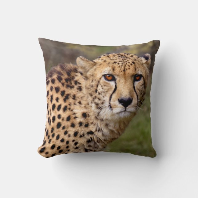 Cheetah Pillow (Front)
