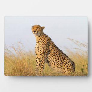 Cheetah Plaque