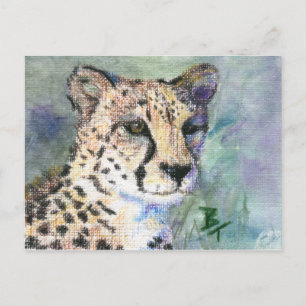 Cheetah Portrait aceo Postcard