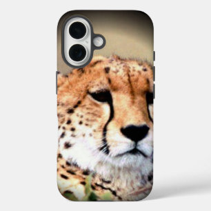 Cheetah Portrait by Full Moon: Nature's Grace iPhone 16 Case