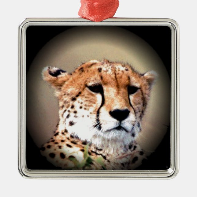 Cheetah Portrait by Full Moon: Nature's Grace Metal Ornament (Front)