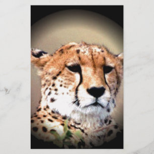 Cheetah Portrait by Full Moon: Nature's Grace Stationery