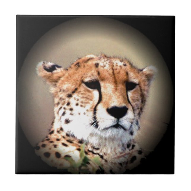 Cheetah Portrait by Full Moon: Nature's Grace Tile (Front)