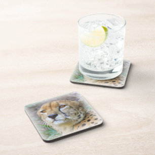 Cheetah portrait coaster