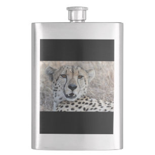 Cheetah Portrait Hip Flask