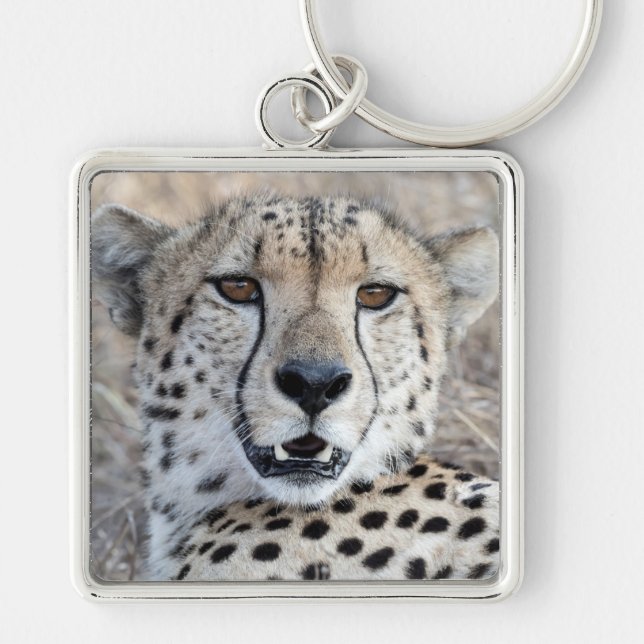 Cheetah Portrait Keychain (Front)
