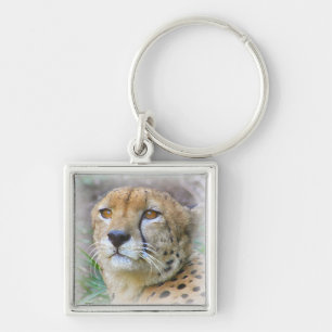 Cheetah portrait keychain