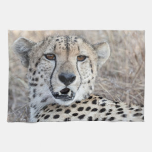Cheetah Portrait Kitchen Towel