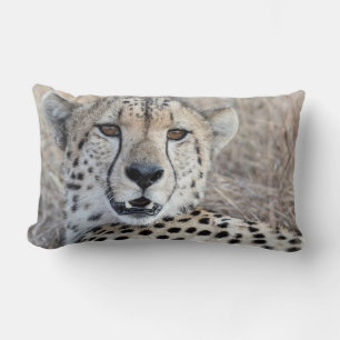 Cheetah Portrait Lumbar Pillow