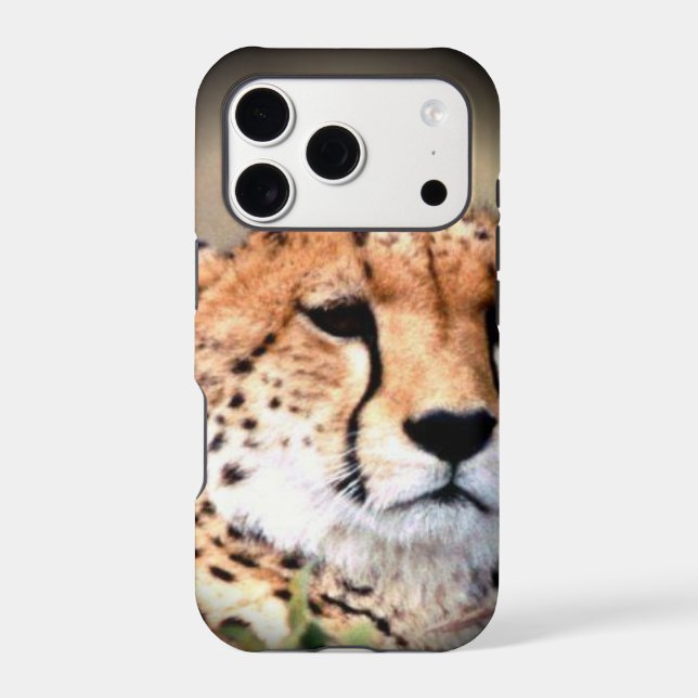 Cheetah Portrait par Pleine lune : La grâce de la  (Verso)