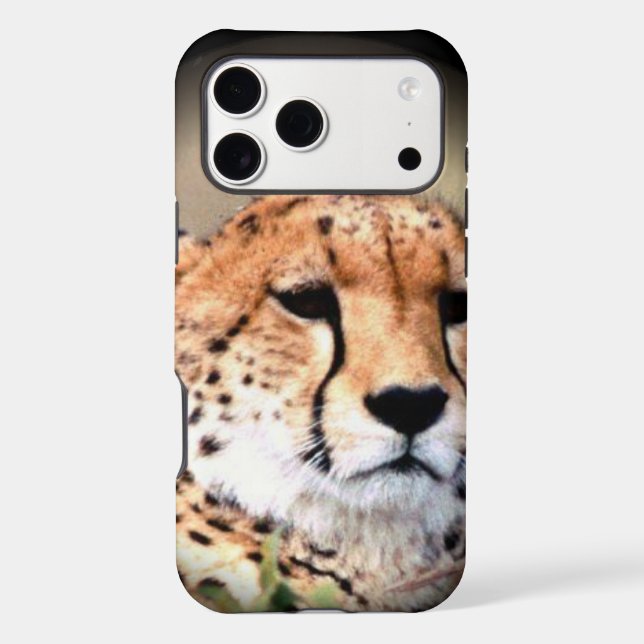 Cheetah Portrait par Pleine lune : La grâce de la  (Verso)