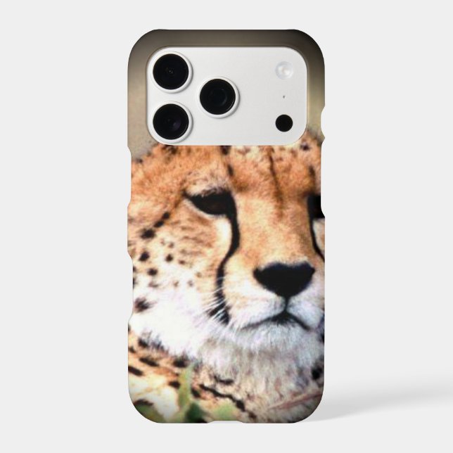 Cheetah Portrait par Pleine lune : La grâce de la  (Verso)