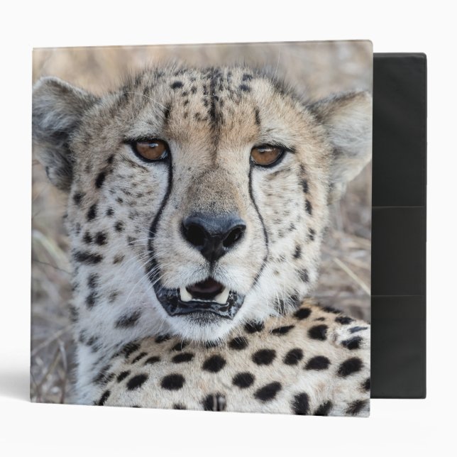 Cheetah Portrait photo Binder (Front/Inside)
