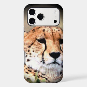 Cheetah Portrait, Pleine lune : La grâce de la nat