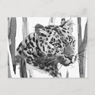 Cheetah Portrait Postcard