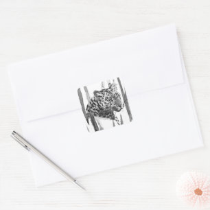 Cheetah Portrait Square Sticker