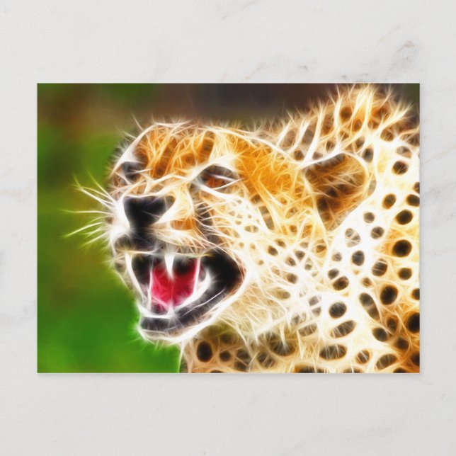 Cheetah Postcard (Front)