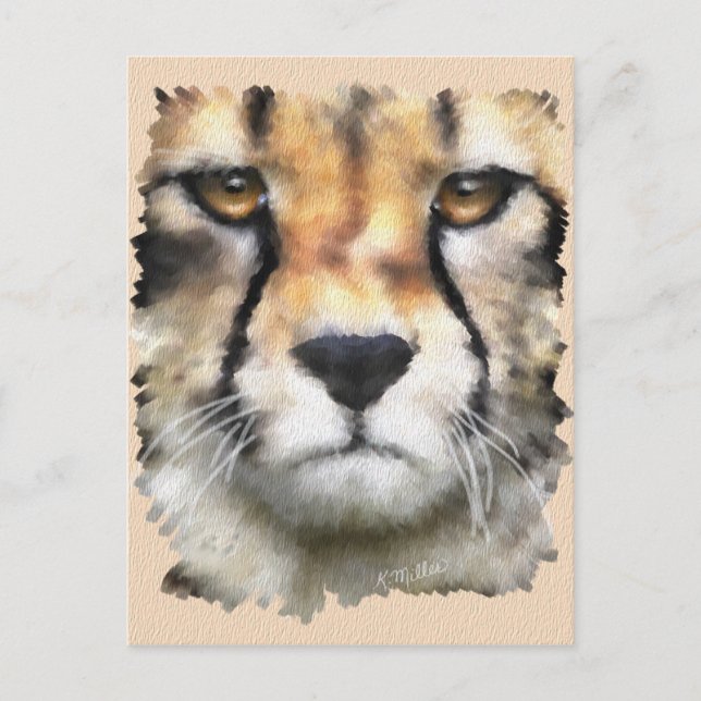 Cheetah Postcard (Front)