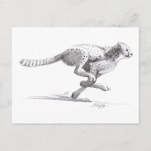Cheetah Postcard