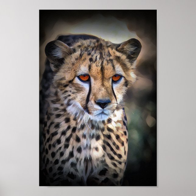 Cheetah Poster (Front)