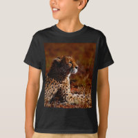 Cheetah profile photo