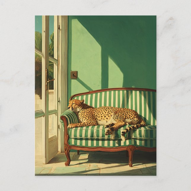 Cheetah Resting in Sunlit Room Postcard (Front)