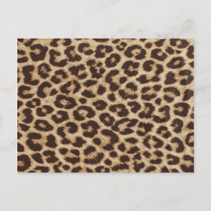 Cheetah Skin Print Postcard