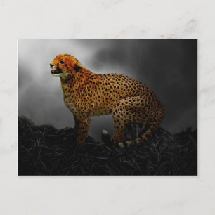 Cheetah spirit guard postcard