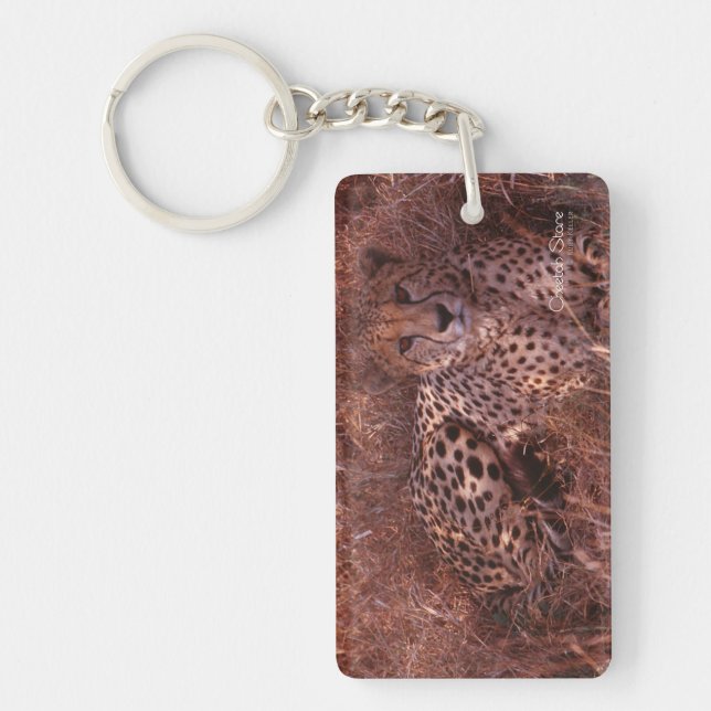Cheetah Stare (Devant)