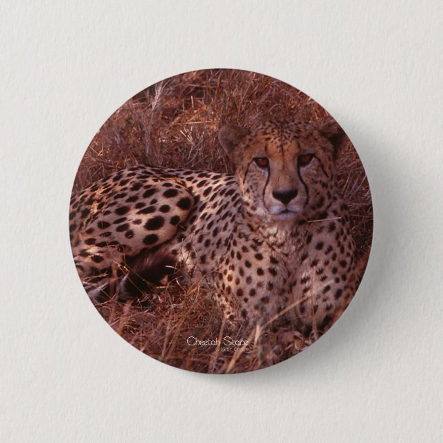 Cheetah Stare 2 Inch Round Button (Front)