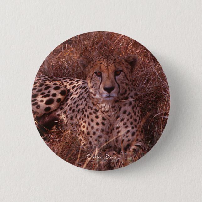 Cheetah Stare 2 Inch Round Button (Front)
