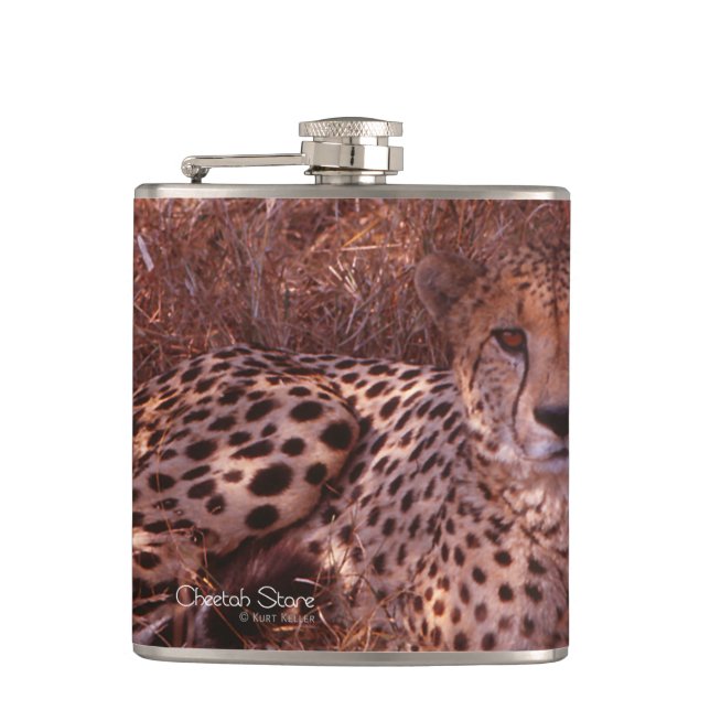 Cheetah Stare Hip Flask (Front)
