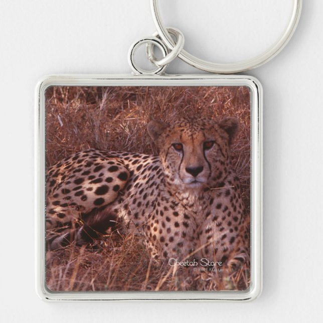 Cheetah Stare Keychain (Front)