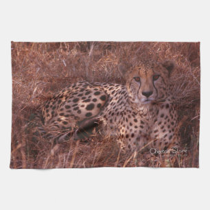 Cheetah Stare Kitchen Towel
