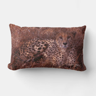 Cheetah Stare Lumbar Pillow