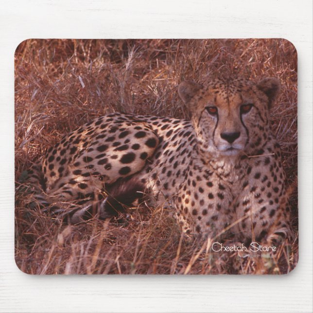 Cheetah Stare Mouse Pad (Front)