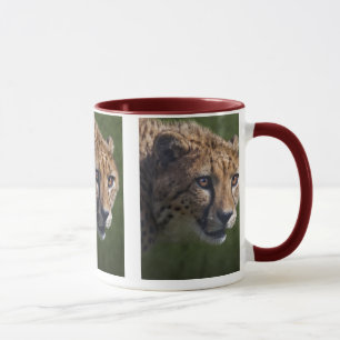 Cheetah Stare Mug
