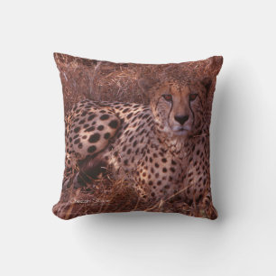 Cheetah Stare Pillow