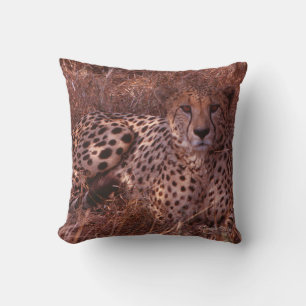 Cheetah Stare Throw Pillow