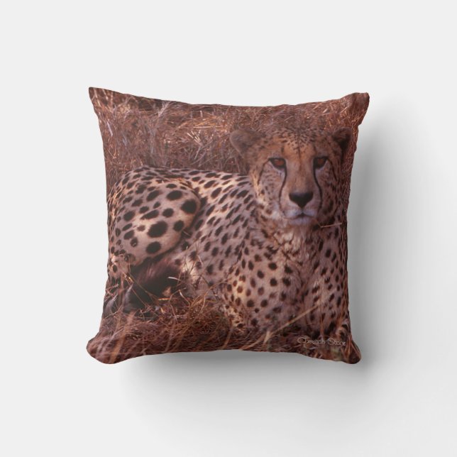 Cheetah Stare Throw Pillow (Front)